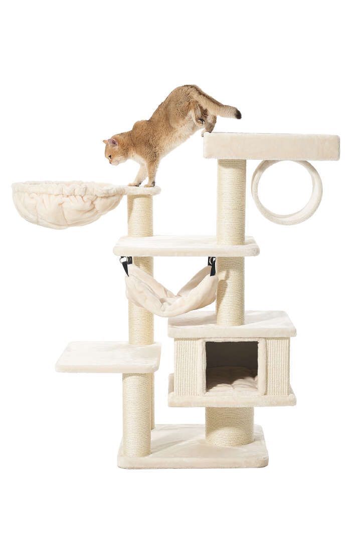 Nobby Kratzbaum Elin